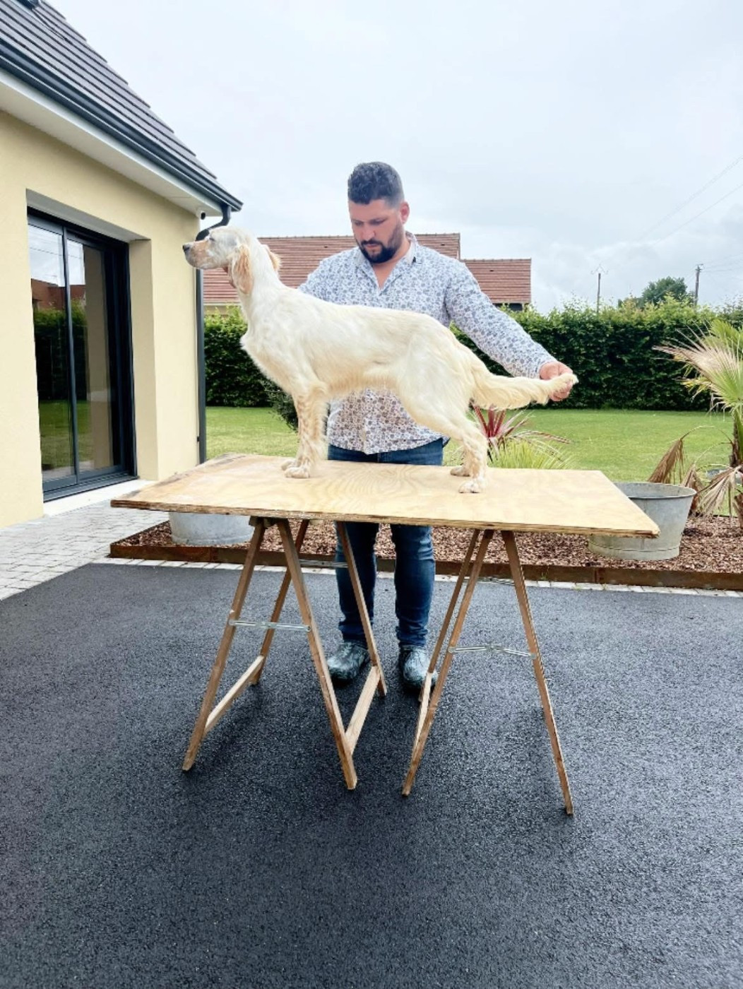 V'oodcock Des Bruyères Murettes