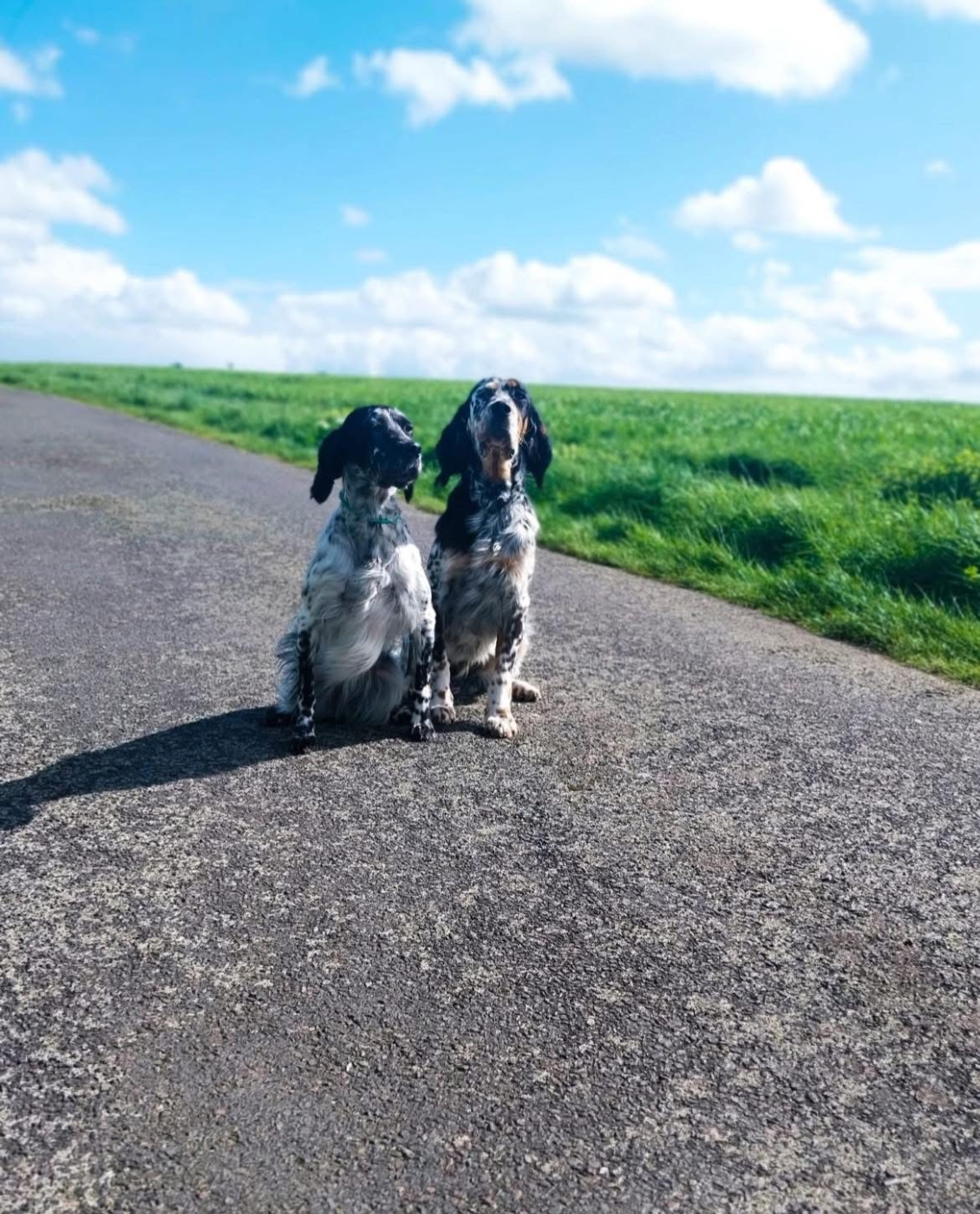 ANNONCE FUTUR PORTEE