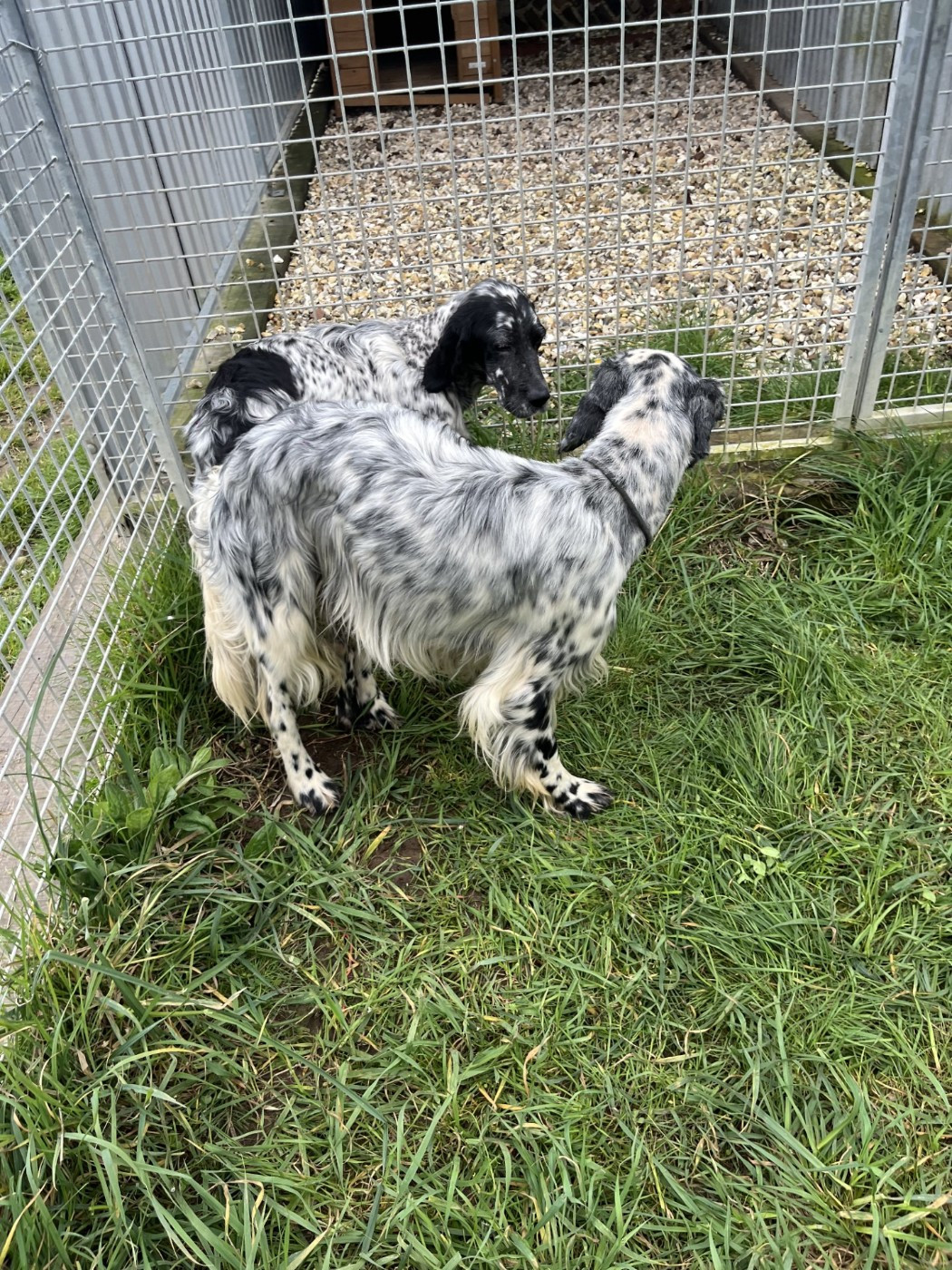 ANNONCE FUTUR PORTEE